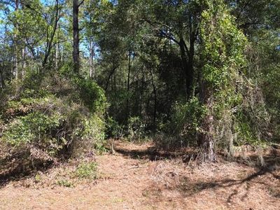 SW 129th Ct Lot 4, Ocala, FL, 34481