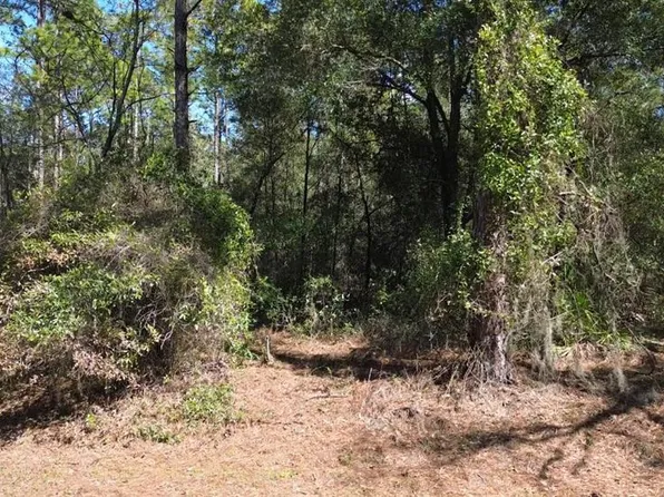 SW 129th Ct Lot 4, Ocala, FL 34481