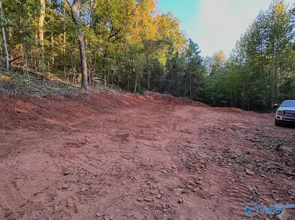 386 Creekview Dr, Rainbow City, AL 35906