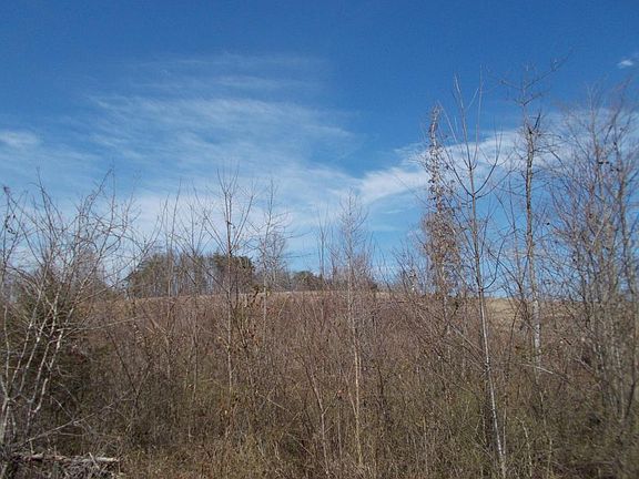4th image of Blaylock Road