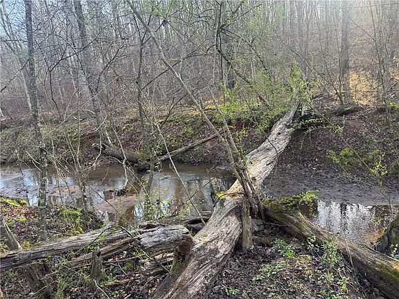 5th image of 0 Indian Creek Trl