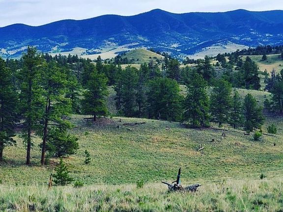 4th image of 568 Coyote Dr