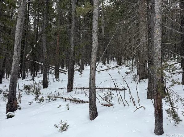 Lot 2759 Purnell Lane LOT 2759, Fort Garland, CO 81133