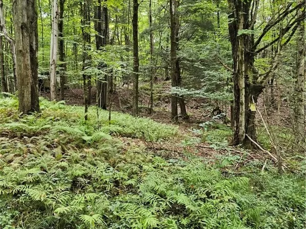 Vl Rabbit Rd #58, East Otto, NY 14729