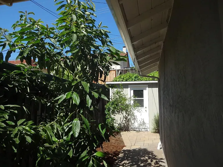 Sideyard