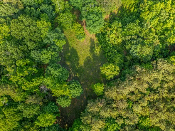 Miller Hollow Rd, Attalla, AL 35954
