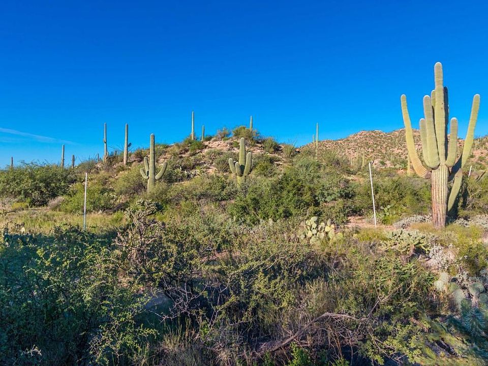 1st image of 14687 N Granite Peak Pl