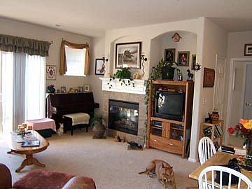 Main Living Area