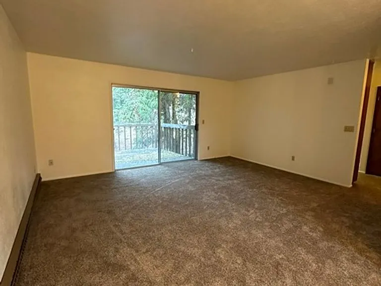 118 N Williams Ave — Photo 6