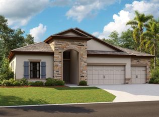 31294 Briarwood Summit Loop, San Antonio, FL 33576