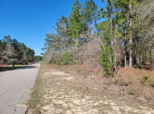 4060 W Alamo Dr LOT WP001, Beverly Hills, FL 34465