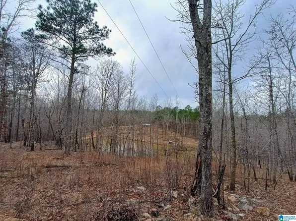 13233 State Highway 9 #0, Kellyton, AL 35089