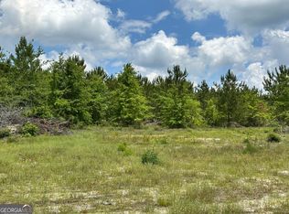 8 State Highway 19 S, Dublin, GA 31021