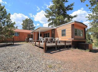 321 Bobcat Ln, Guffey, CO 80820