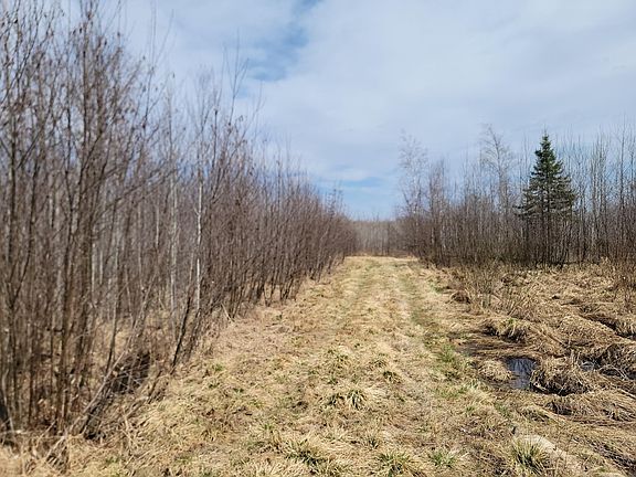 4th image of Elderwood Rd #80ACRES