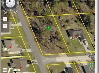 11341 Mississippi Kite Ave, Brooksville, FL 34614