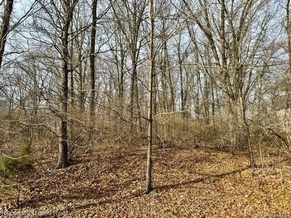 Vacant Land 9 Climbing Way, Pinckney, MI 48169