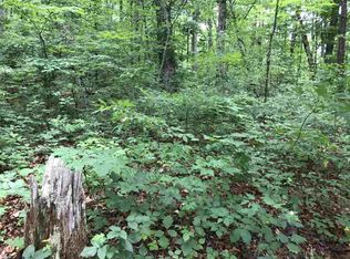 PARCEL 44 12.05 Browns Chapel Rd, Parrottsville, TN 37843