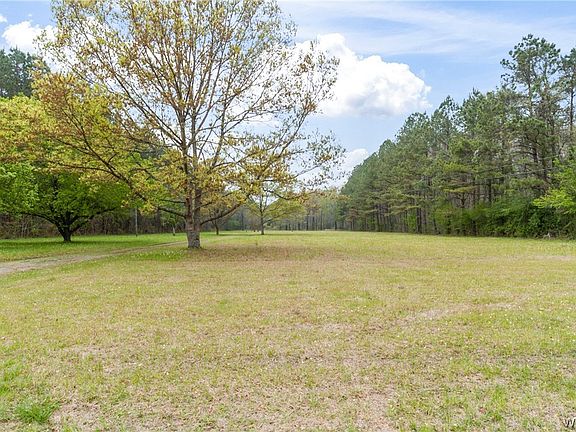 12377 Fosters Loop Rd, Fosters, AL 35463 | MLS #161792 | Zillow