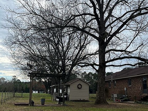 Back yard with pecan trees