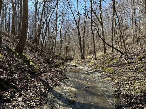 107 Purcell Ln, Leoma, TN 38468