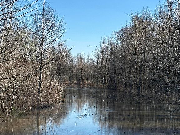 5th image of (Undisclosed Address)