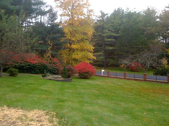 sloping, sunny front lawn