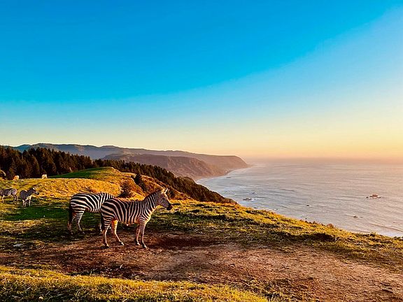 51st image of this home