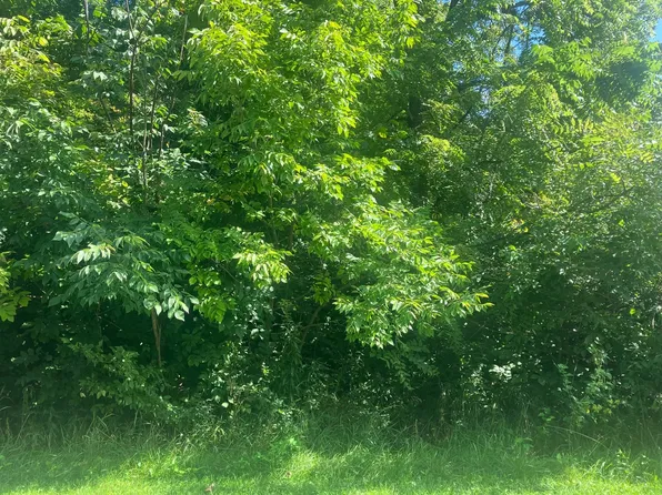 2 London Ct, Mackinaw, IL 61755