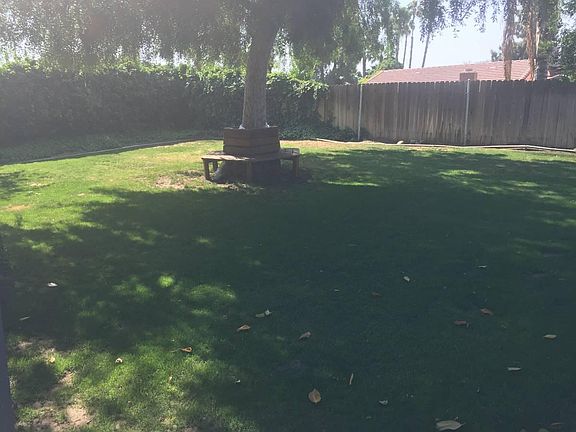 back yard