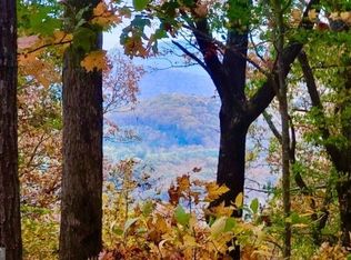 43.91 Old Burnt Mountain Rd, Ellijay, GA 30536