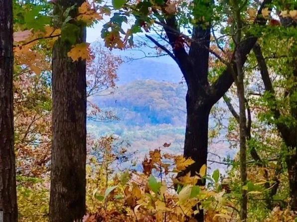 43.91 Old Burnt Mountain Rd, Ellijay, GA 30536