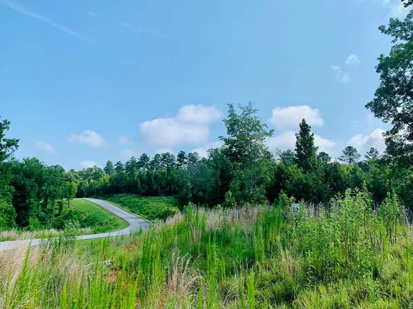 1091 Open Water Dr, Greensboro, GA 30642