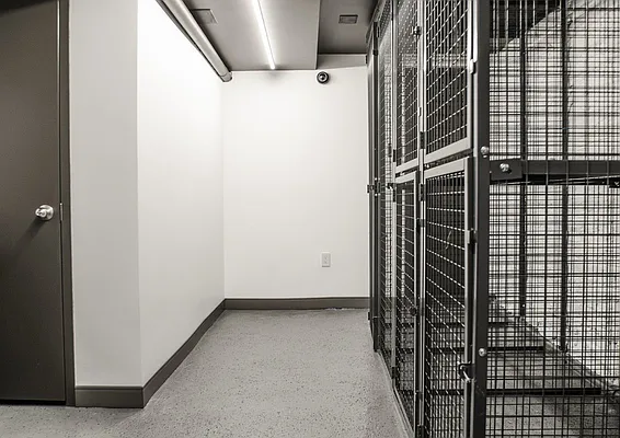 Rented by Argent Advisors LLC | media 37