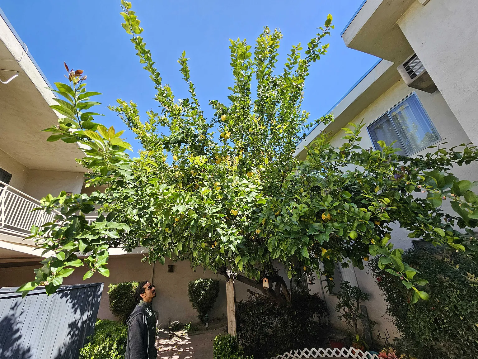1 bed, $2,195 — Photo 4
