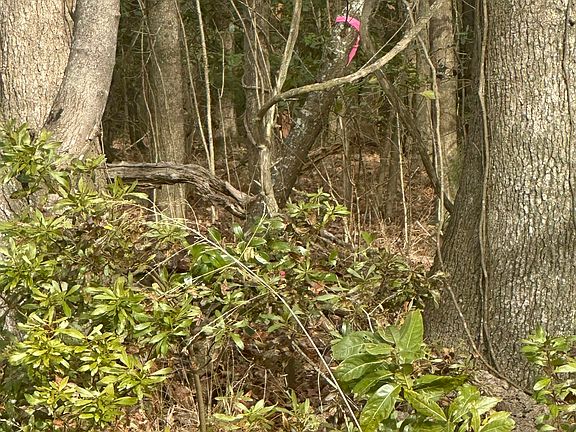5th image of 2 Fisher Landing Road