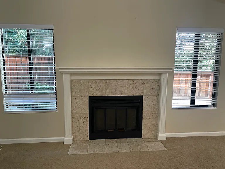 231 Via Pinada Ln — Photo 10