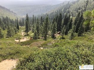 0 Ditch Rd, Markleeville, CA 96120