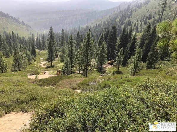 0 Ditch Rd, Markleeville, CA 96120