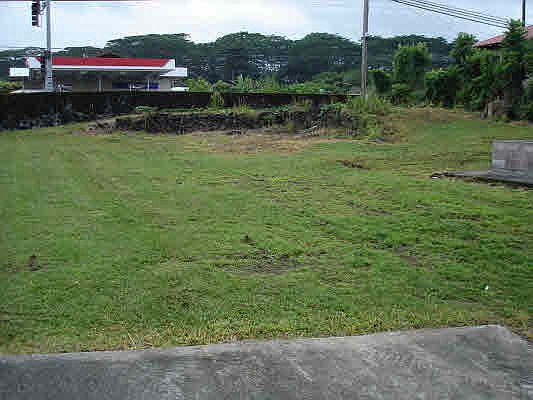 1st image of 1990 Mohouli St