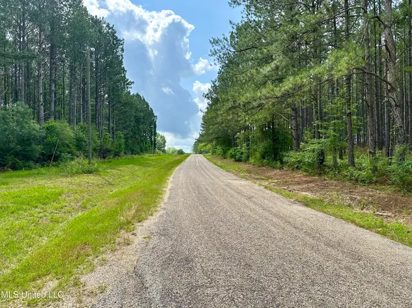 Old Stateline Rd, Tylertown, MS 39667