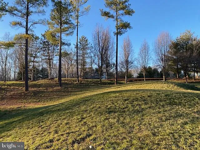 15507 Gossoms Store Ct — Photo 8