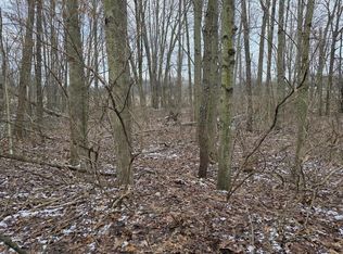 Bronson Ave, Plainwell, MI 49080