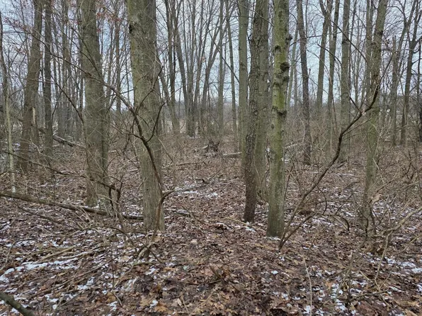 Bronson Ave, Plainwell, MI 49080