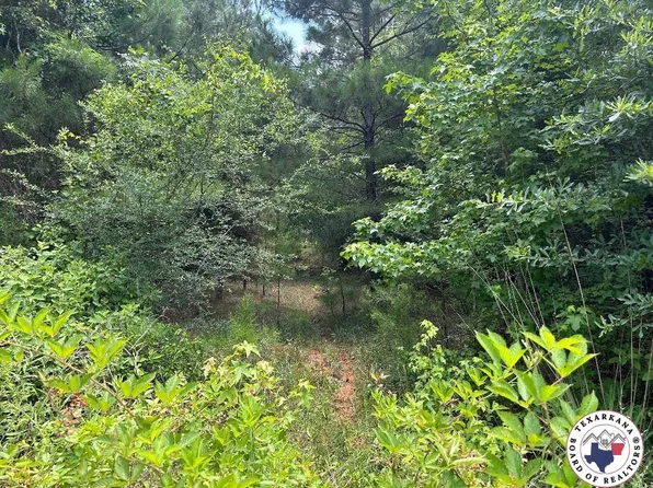 County Road 4342, Bivins, TX 75555