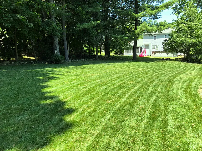 5 Dorchester Ave — Photo 29
