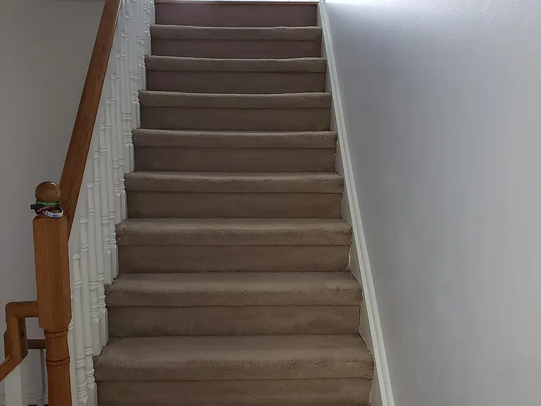 2439 Lazio Ln — Photo 13