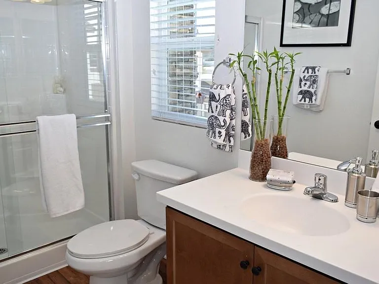 Coastal Living at San Marcos 55+ — Photo 7