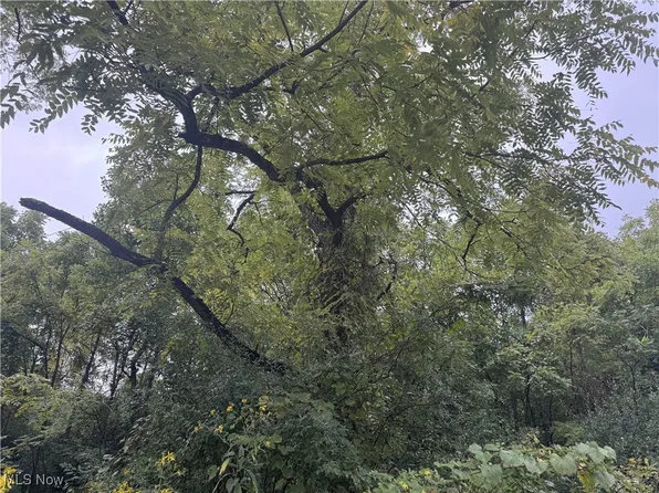 Miltonsburg Calais Rd, Woodsfield, OH 43793