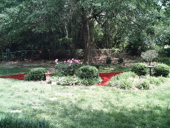 Backyard Garden